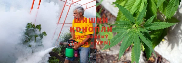 твердый Аркадак