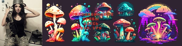PSILOCYBIN Армянск