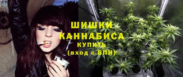 PSILOCYBIN Армянск