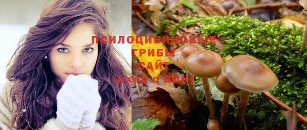 PSILOCYBIN Армянск