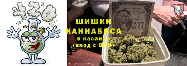PSILOCYBIN Армянск