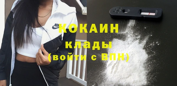 твердый Аркадак