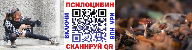 Галлюциногенные грибы Psilocybe  Медвежьегорск 